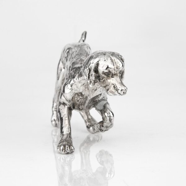 Cães de Caça | Braco Alemão - Image 3