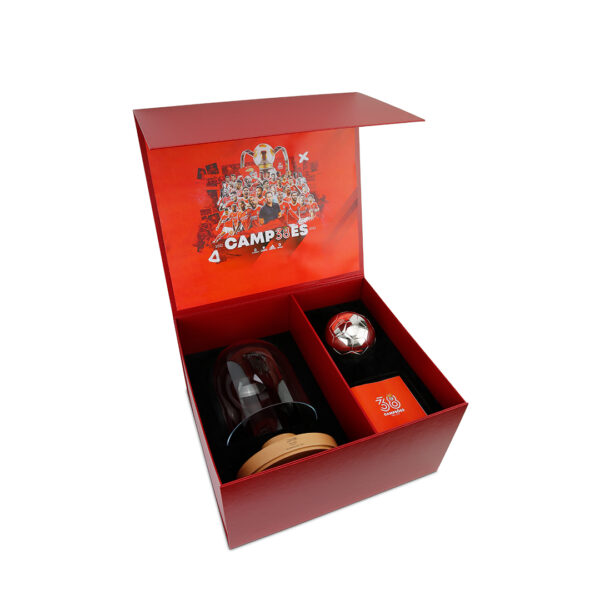Bola do Campeão Nacional® Benfica em Prata - Image 6