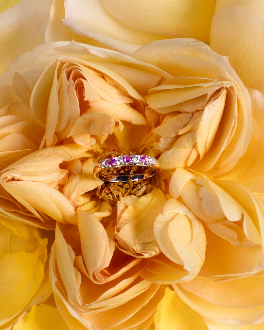 Coleção Joalharia - Spring 2026