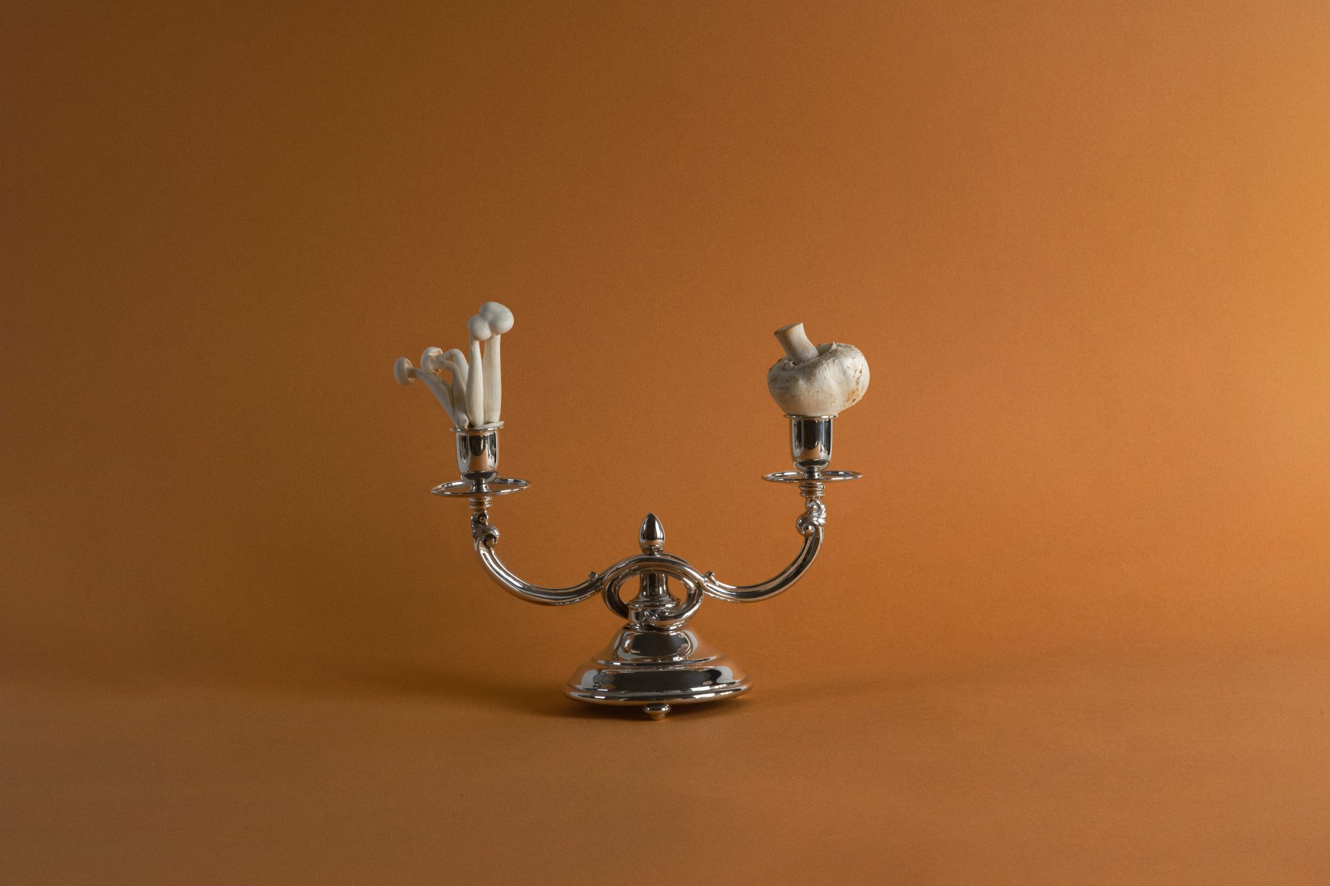 Produtos Decoração